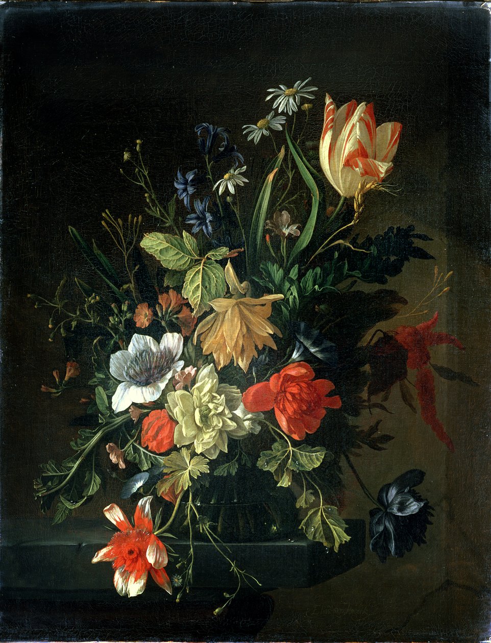 Nieznany obraz autorstwa Elias van den Broeck
