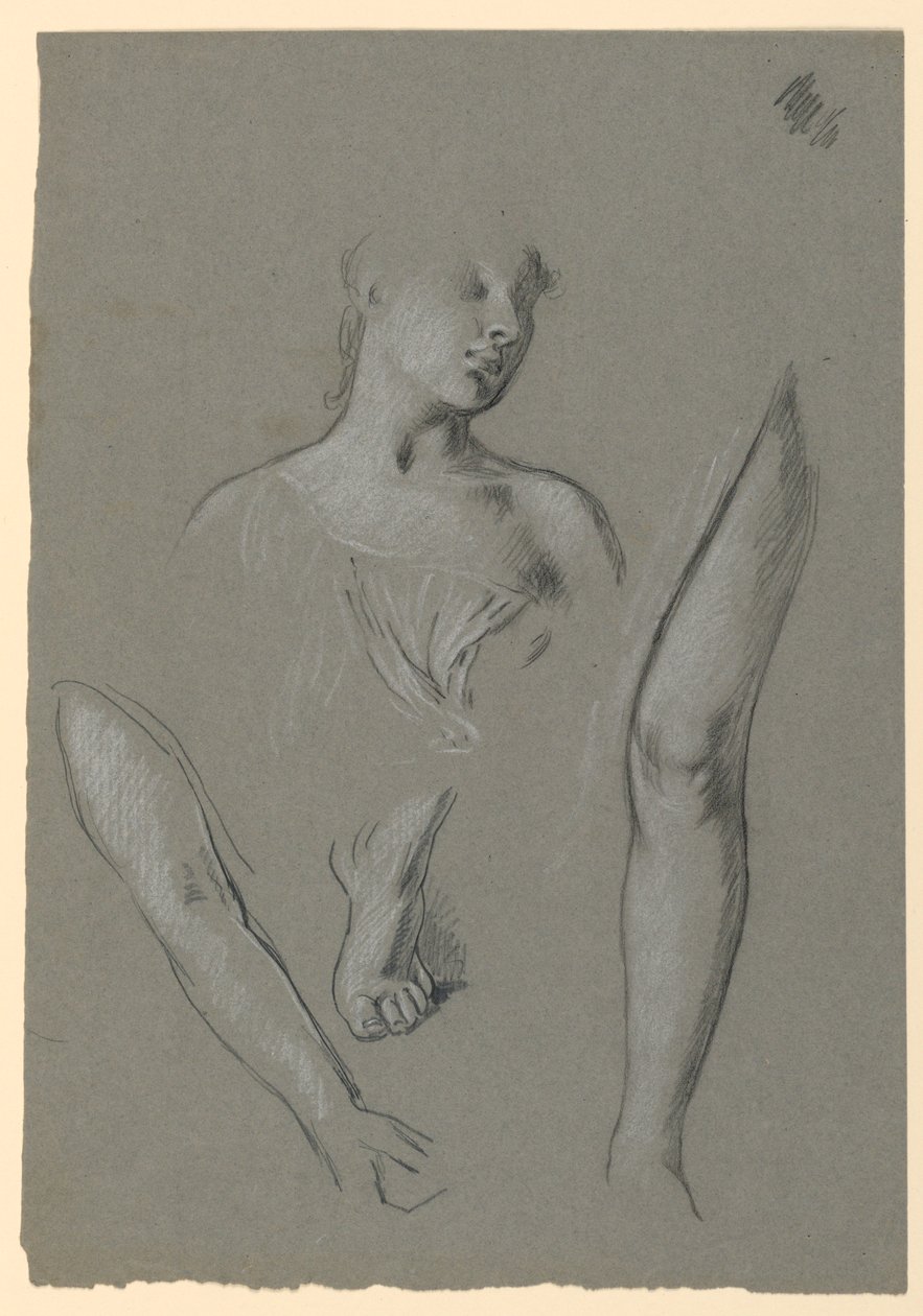 Szczegóły badań figur autorstwa Elihu Vedder