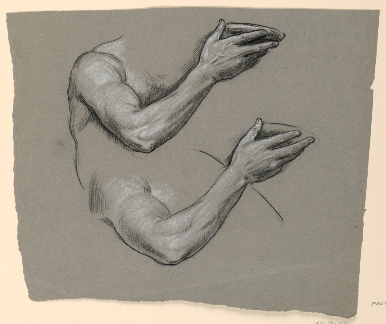 Rysunek, szczegóły dwóch męskich ramion, ok. 1885 r. autorstwa Elihu Vedder