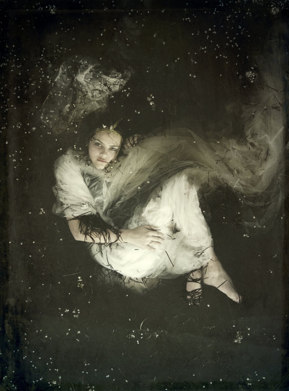 Pływająca panna młoda II, 2013 (sitodruk) autorstwa Elinleticia Högabo