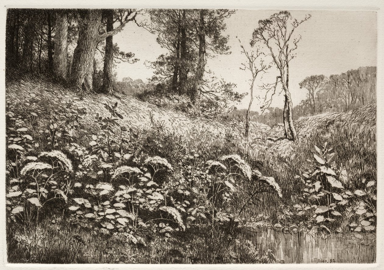 Letnie popołudnie, 1882. autorstwa Elis F. Miller