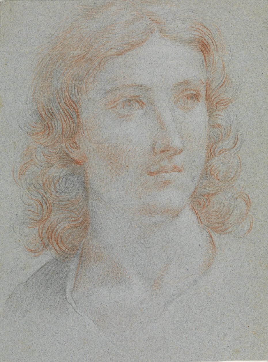 Głowa młodego mężczyzny autorstwa Elisabetta Sirani