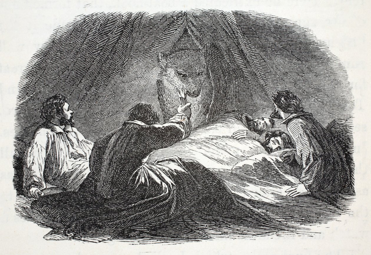 Niedźwiedź w obozie, ilustracja z 