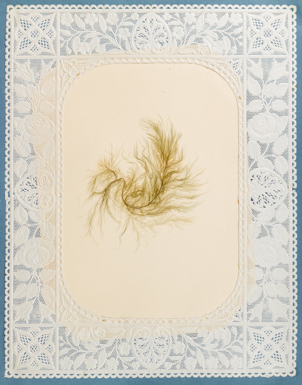 Wodorosty autorstwa Eliza A. Jordson