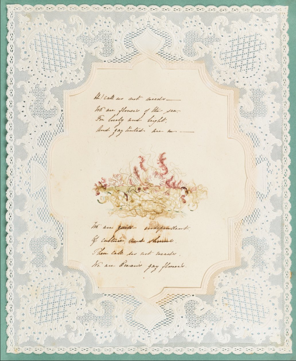 Wodorosty autorstwa Eliza A. Jordson