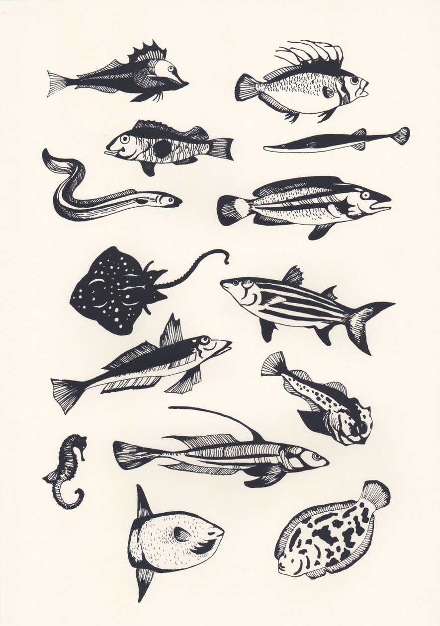 Monotone Plain Fish, 2015 (sitodruk) autorstwa Eliza Southwood