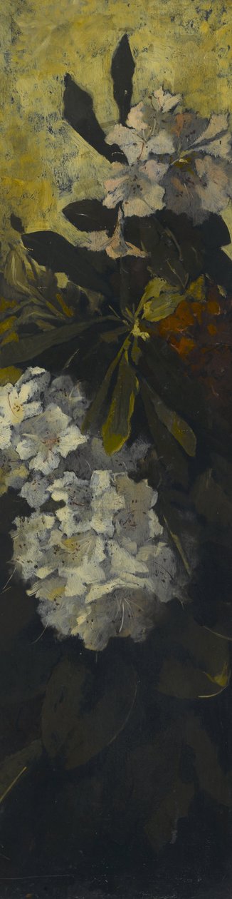 Rododendrony autorstwa Elizabeth Boott Duveneck