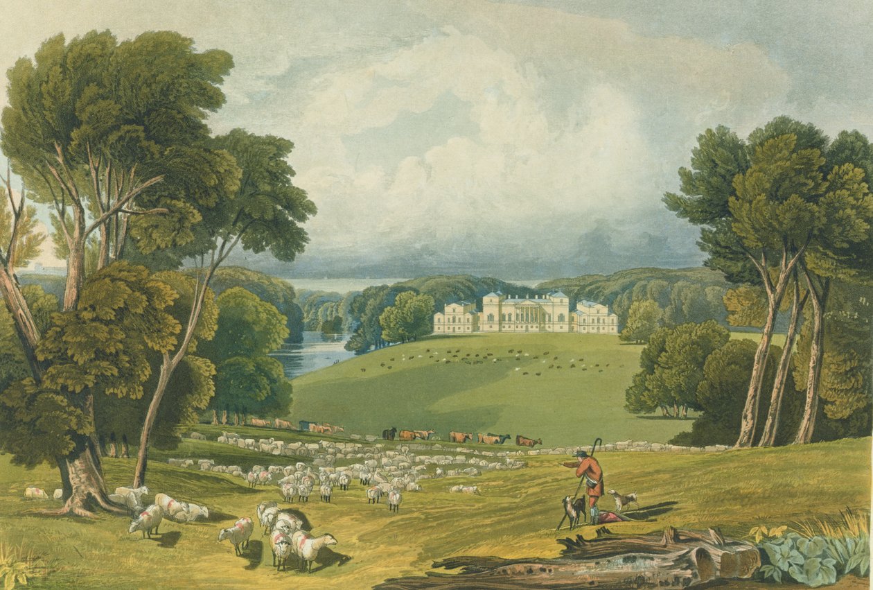 Widok Holkham Hall, Norfolk, sztychowany przez Roberta Havella (1769-1832) 1818 (kolor grawerowany) autorstwa Elizabeth Blackwell