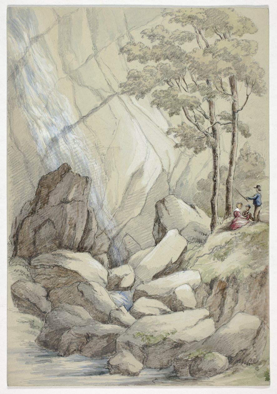 Wodospad Powerscourt autorstwa Elizabeth Murray