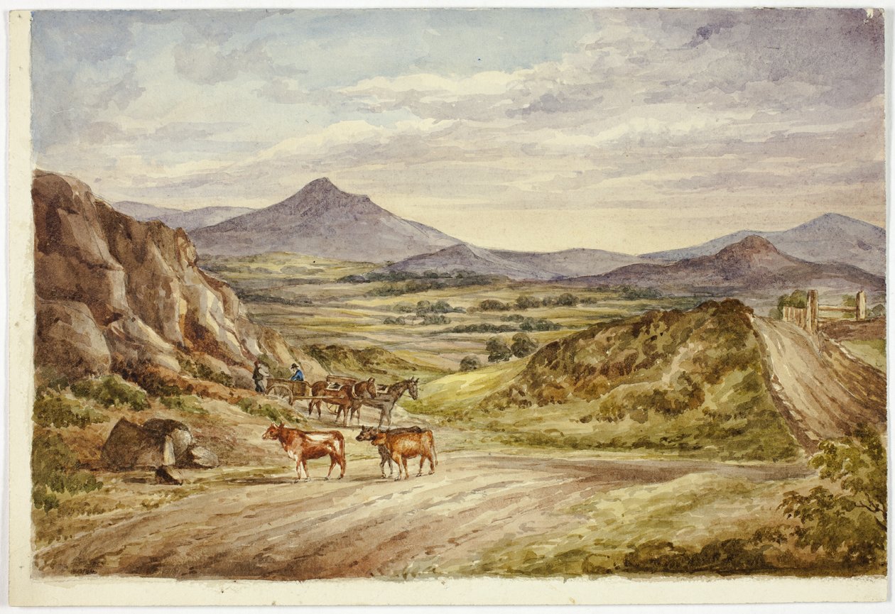 Wzgórza Wicklow autorstwa Elizabeth Murray