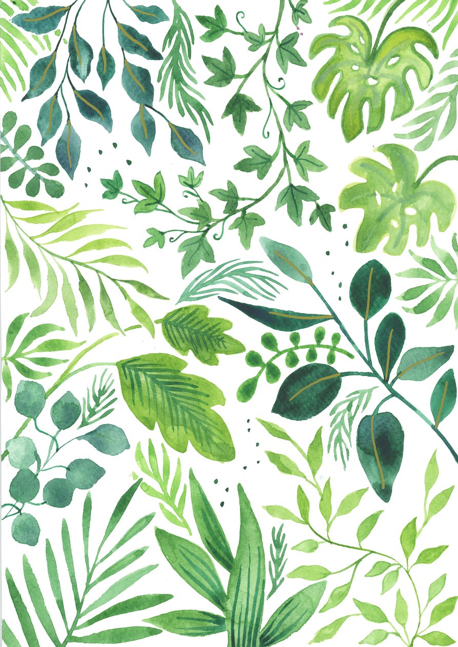 Leafy Medley, 2018 (akwarela) autorstwa Elizabeth Rider