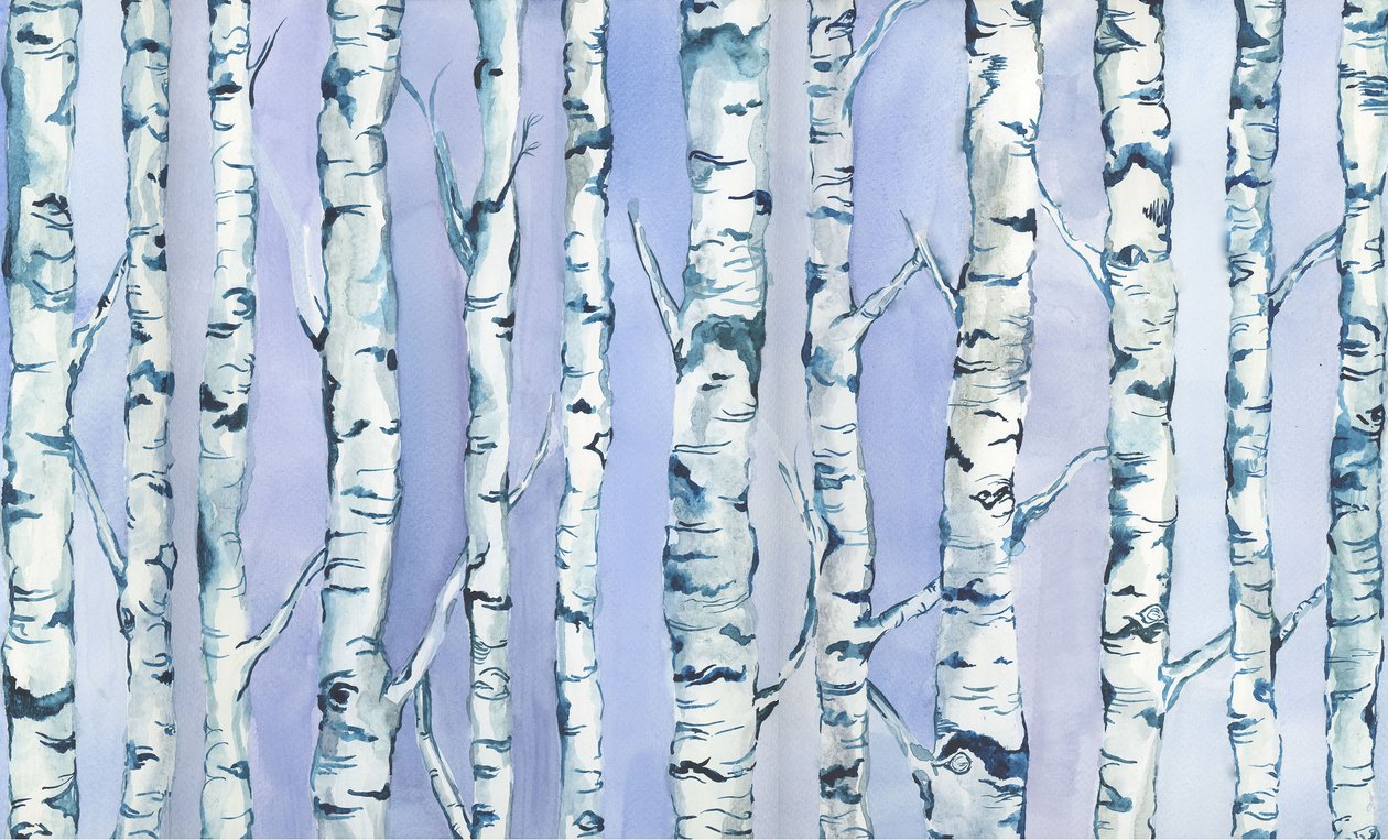 Silverbirch Forest, 2018 (akwarela i akryl) autorstwa Elizabeth Rider