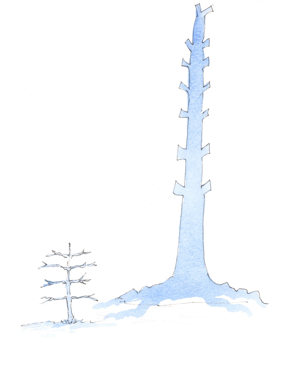 Kościół urósł, jak gigantyczny dąb wyrasta z drzewka, 2003 (w/c na papierze) autorstwa Elizabeth Wang