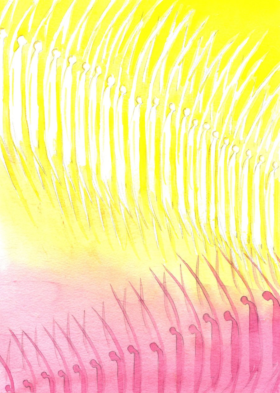 Niebiański zastęp, 2001 (w/c na papierze) autorstwa Elizabeth Wang