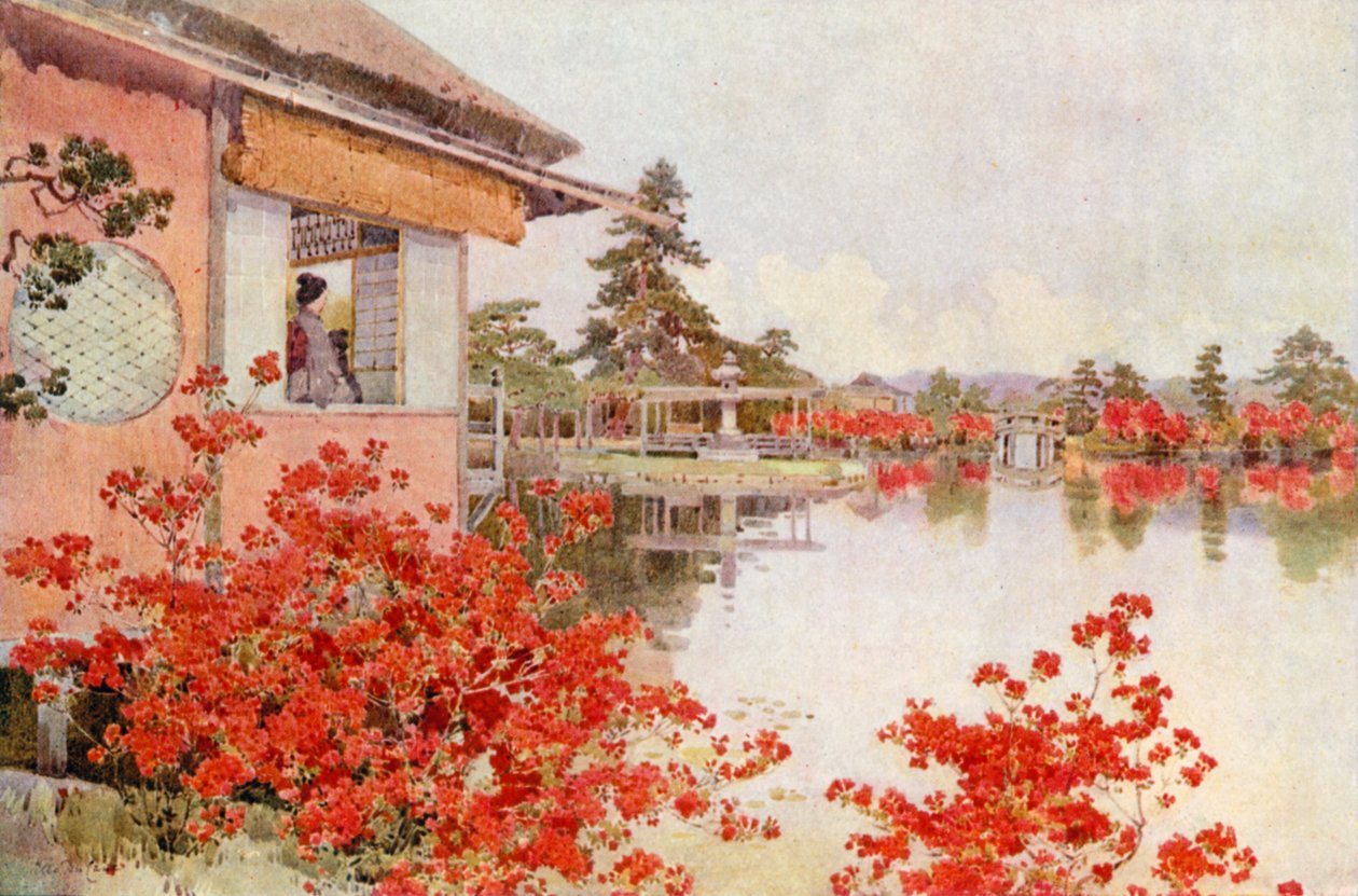 Azalie, Nagaoka (kolorowa litografia) autorstwa Ella Du Cane