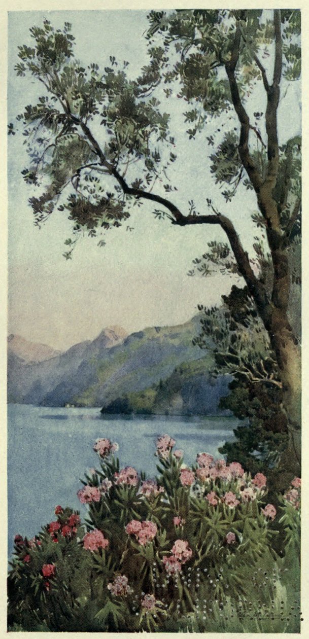 Lago di Como, ilustracja z „Włoskich jezior” Richarda Bagot autorstwa Ella Du Cane
