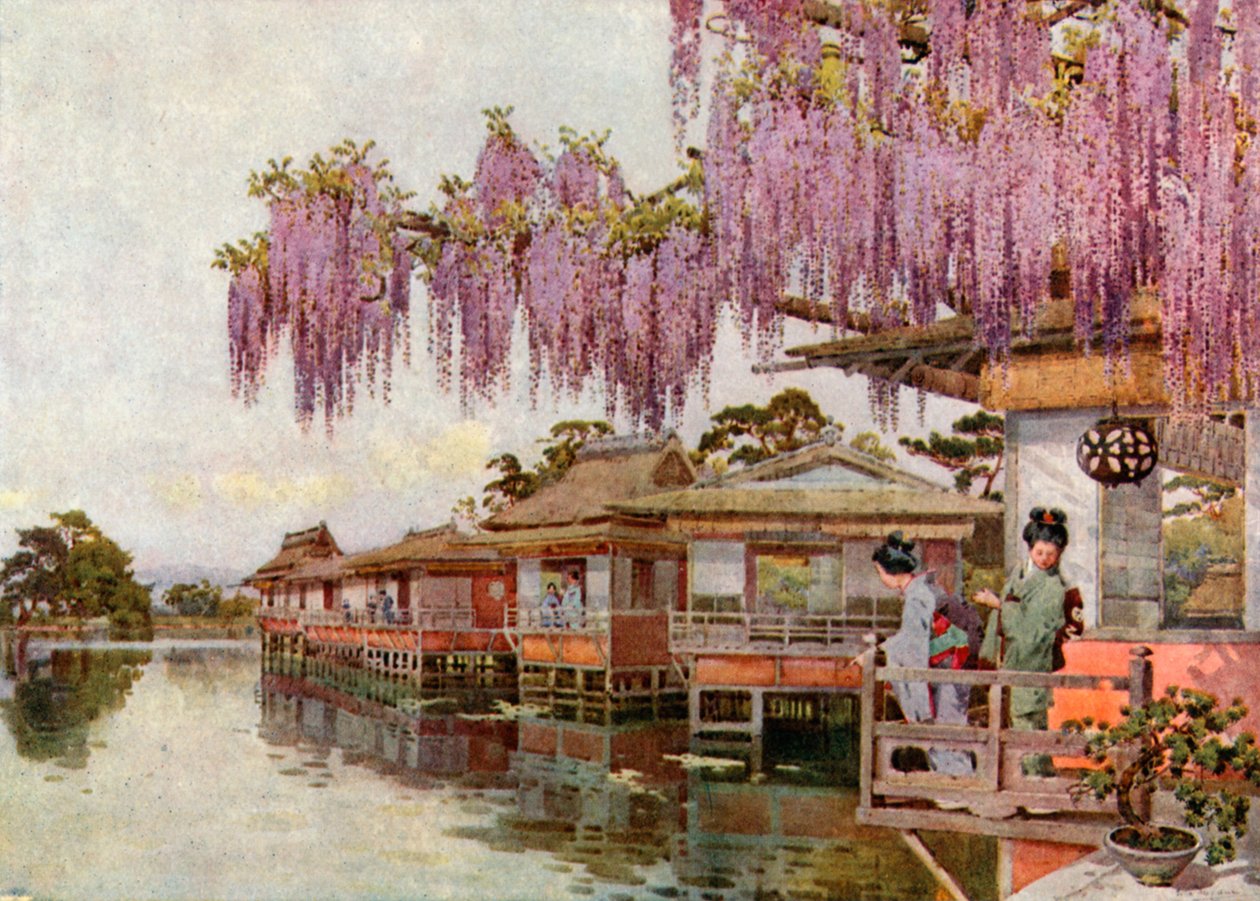 Wistaria, Nagaoka (kolorowa litografia) autorstwa Ella Du Cane