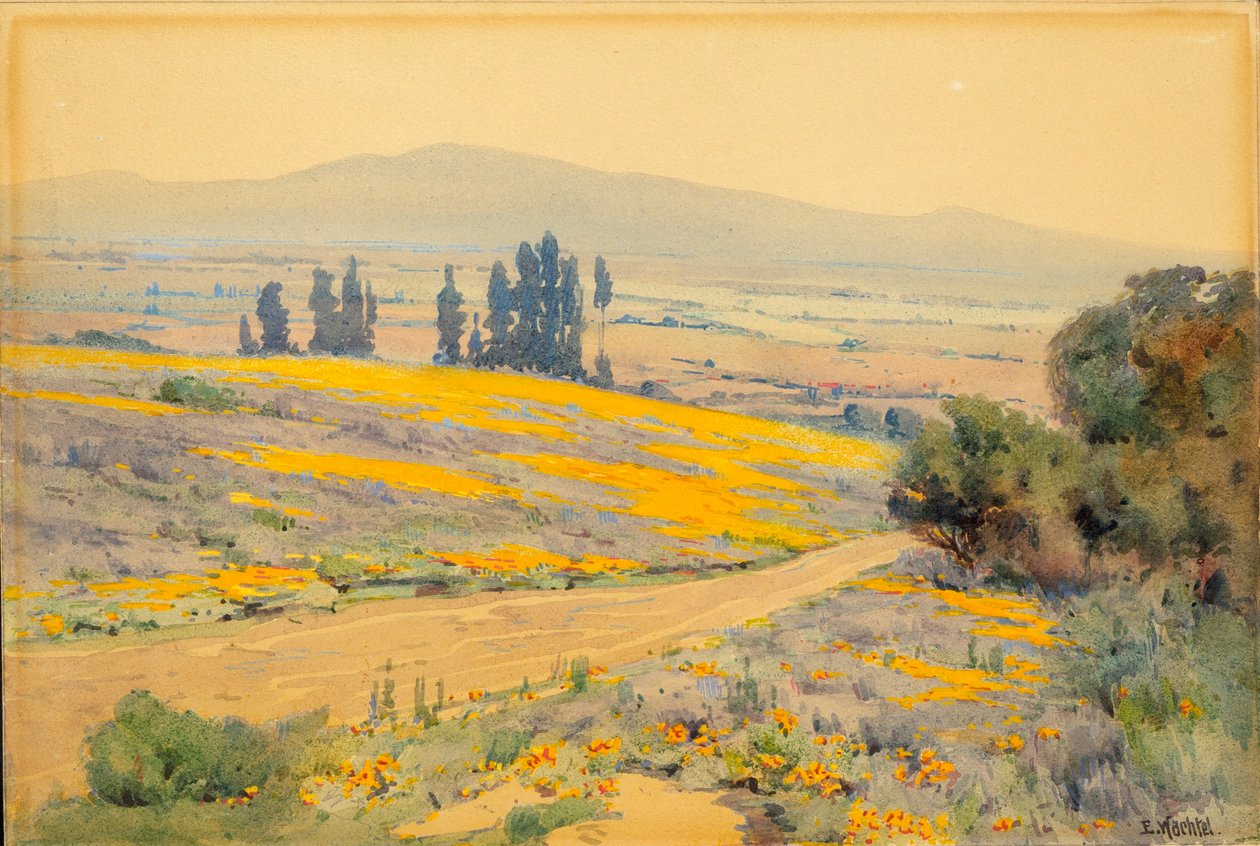 California Spring Landscape autorstwa Elmer Wachtel