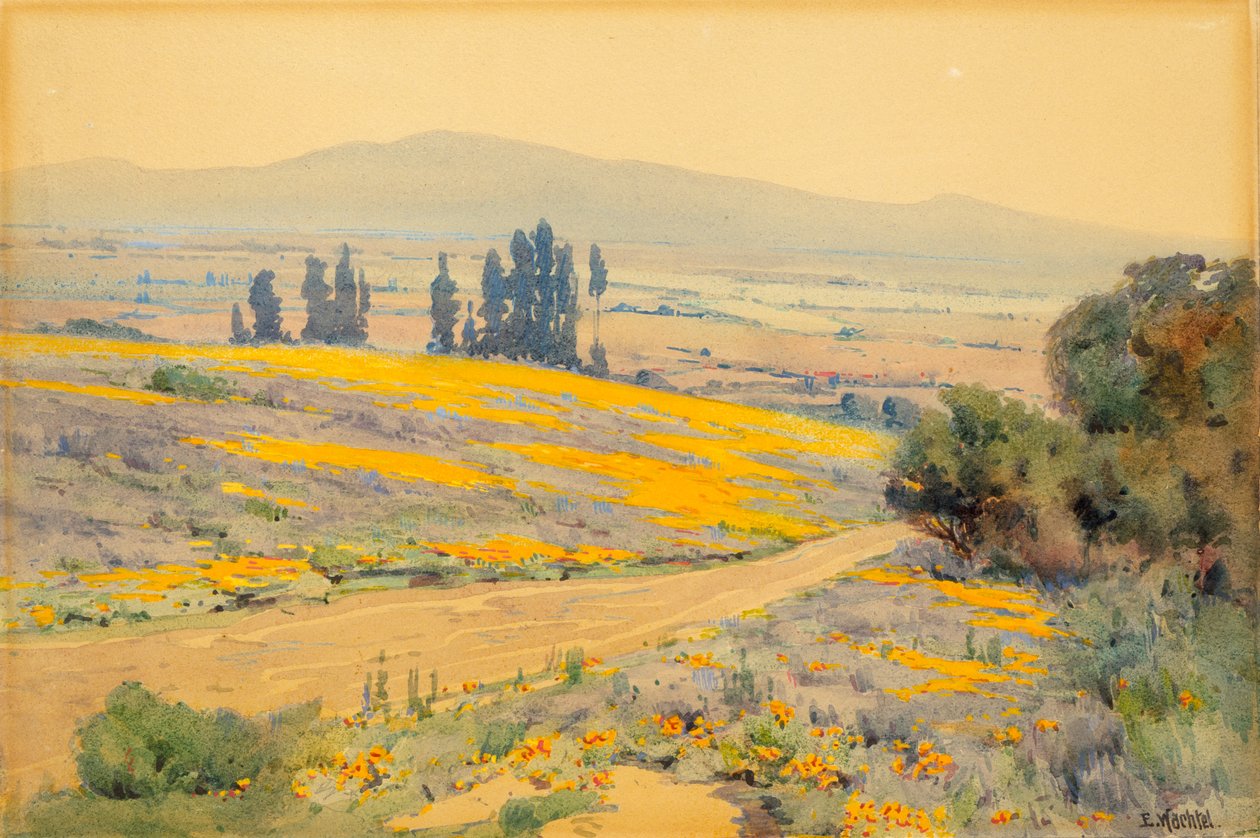 Kalifornijski wiosenny krajobraz, ca. 1920. autorstwa Elmer Wachtel
