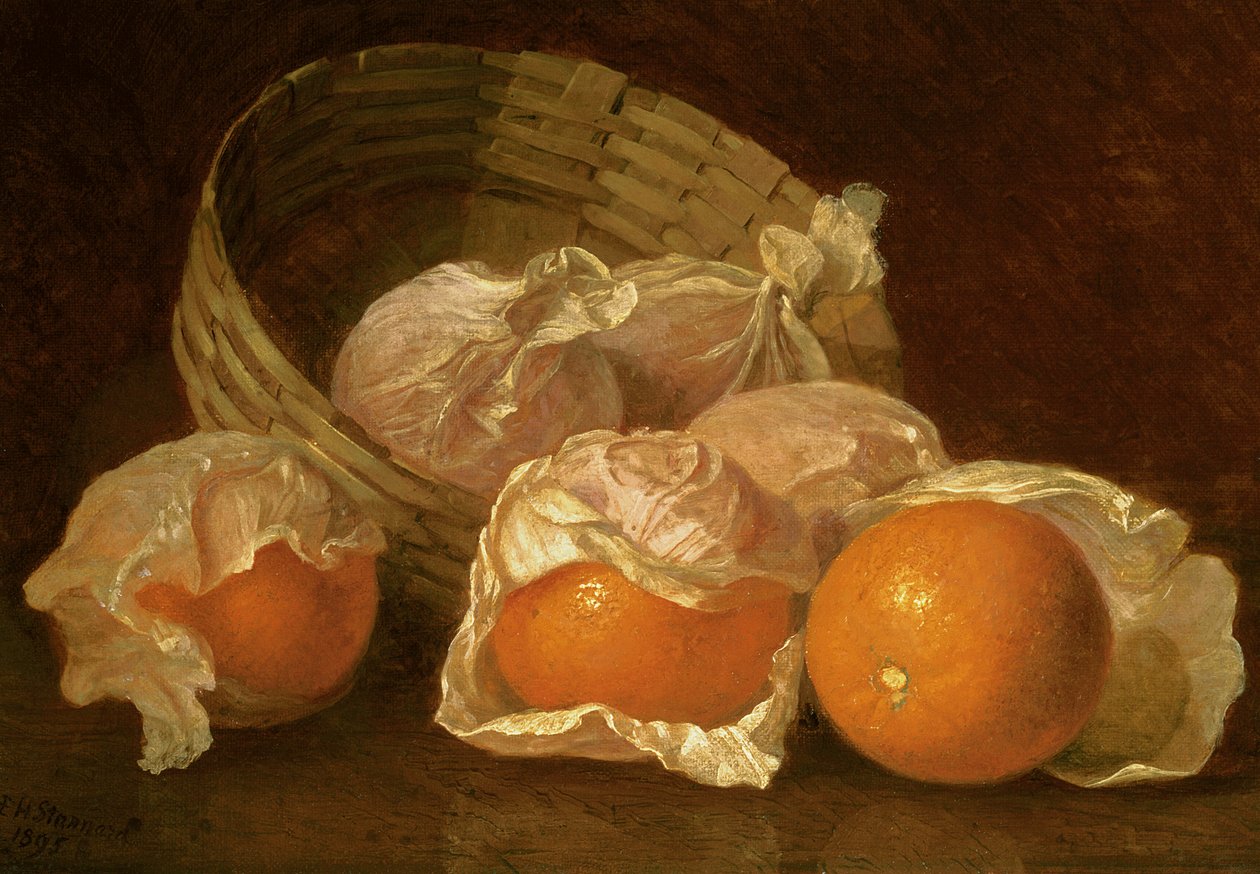 Kosz pomarańczy, 1895 autorstwa Eloise Harriet Stannard