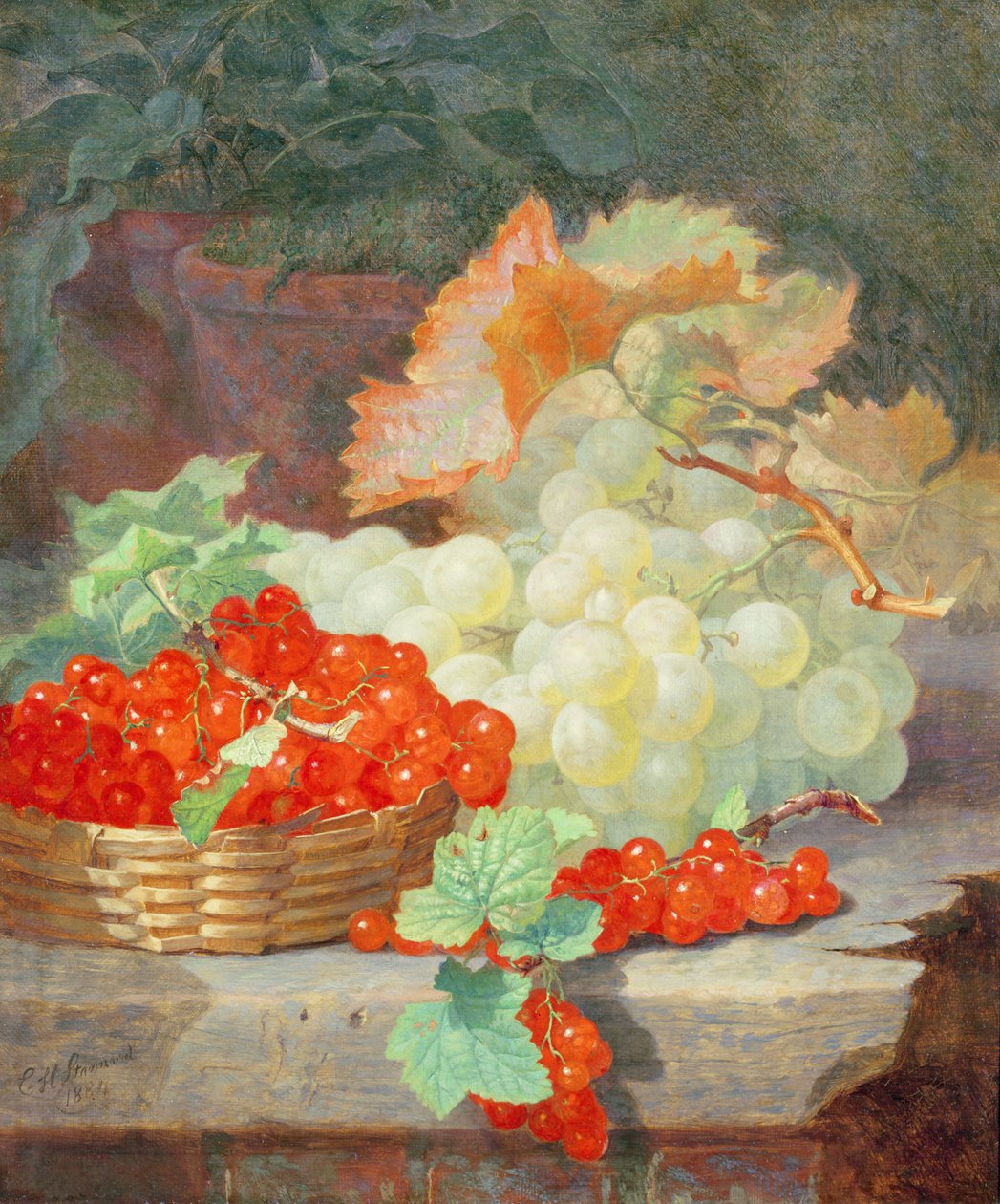 Czerwone Porzeczki i Winogrona, 1864 autorstwa Eloise Harriet Stannard
