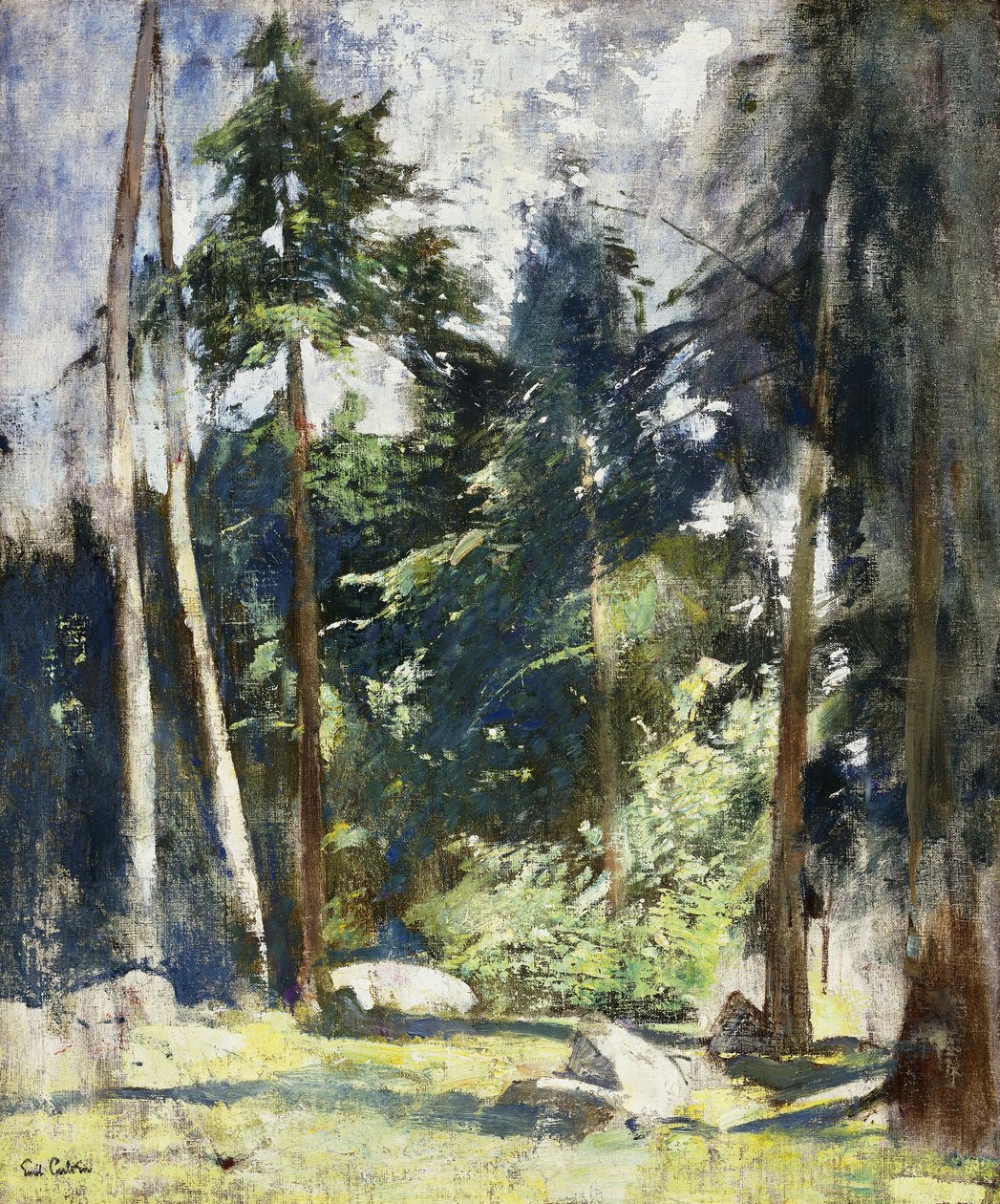 Wysokie sosny autorstwa Emil Carlsen