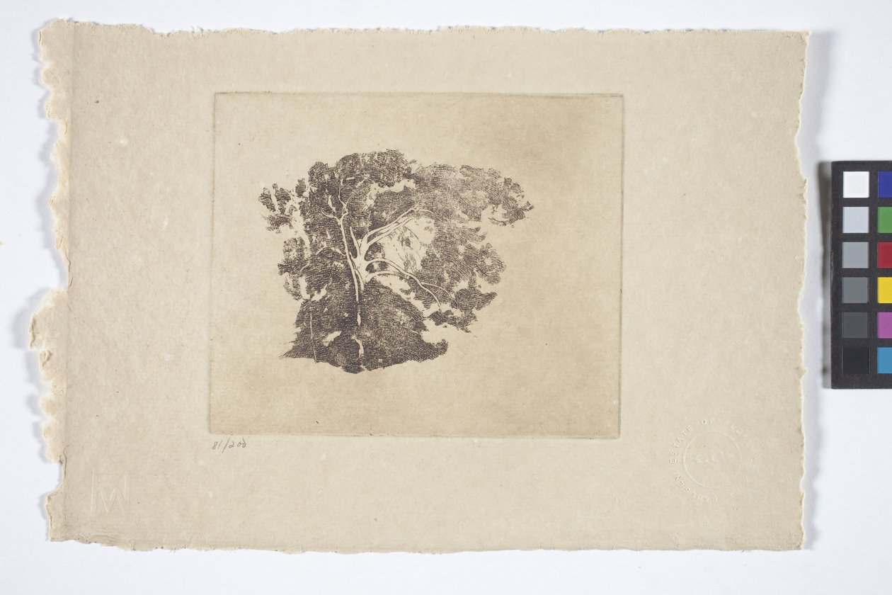 Studium drzewa (atrament) autorstwa Emil Carlsen