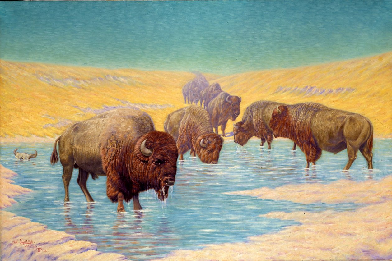 Buffalo Scene autorstwa Emil W. Lenders