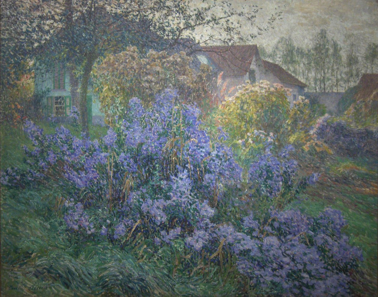  The astersnNiderlandy: The astersn autorstwa Emile Claus