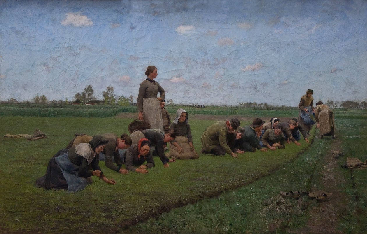Odchwaszczanie lnu we Flandrii autorstwa Emile Claus