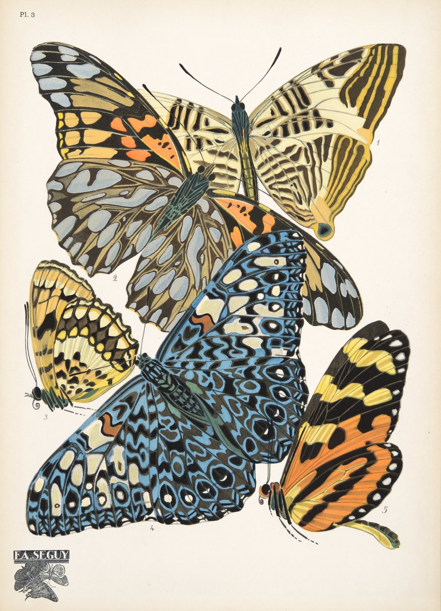 Płyta 3, z Butterflies, wyd. 1925 (odbitka szablonowa) autorstwa Émile Allain Séguy
