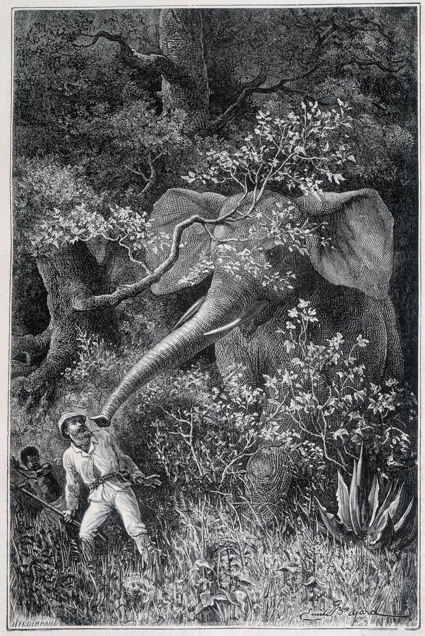 Livingstone zaskoczony przez słonia, w „Le Tour du Monde” autorstwa Emile Antoine Bayard