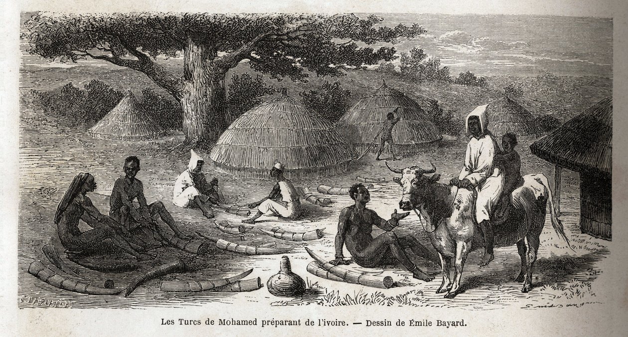 Przygotowanie kości słoniowej dla tureckiego kupca, Uganda, rysunek Emile Bayard (1837-1891), ilustrujący podróż odkrywczą kapitana Speke w Afryce w latach 1860-1863. Grawer w „”Le tour du monde””, pod redakcją Edouarda Chartona autorstwa Emile Antoine Bayard