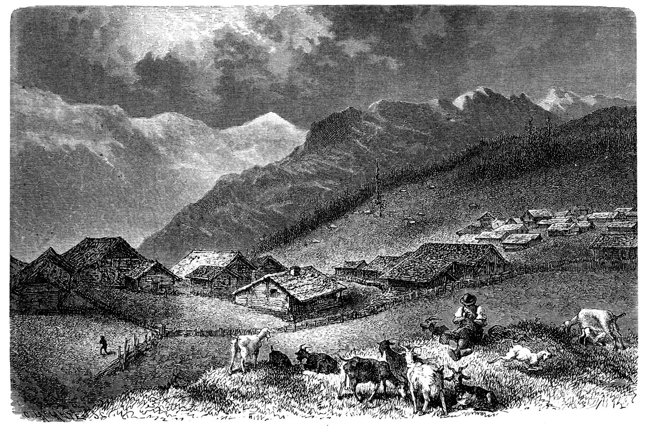 Wioska w Alpach. Murren, w Berneńskim Oberlandzie, wysokość 1630 metrów. Pasterz trzymający swoje stado kóz i owiec (owiec). Ilustracja Emile Bayarda do książki Alberta Dupaigne „Les Montagnes”, wydanie Mame 1881. autorstwa Emile Antoine Bayard