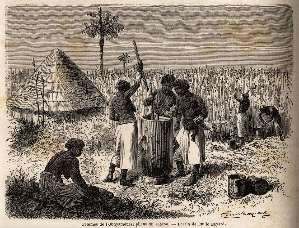 Kobiety tłukące sorgo, w ounyamouezi (region Wielkich Jezior, Afryka), rysunek Emile Bayard (1837-1891), ilustrujący podróż odkrywczą kapitana Speke w Afryce w latach 1860-1863. Grawer w „”Le tour du monde””, pod redakcją przez Edouarda Chartona autorstwa Emile Antoine Bayard