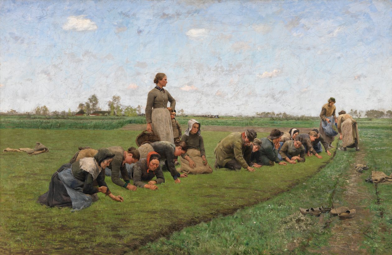 Pielenie lnu we Flandrii autorstwa Emile Claus