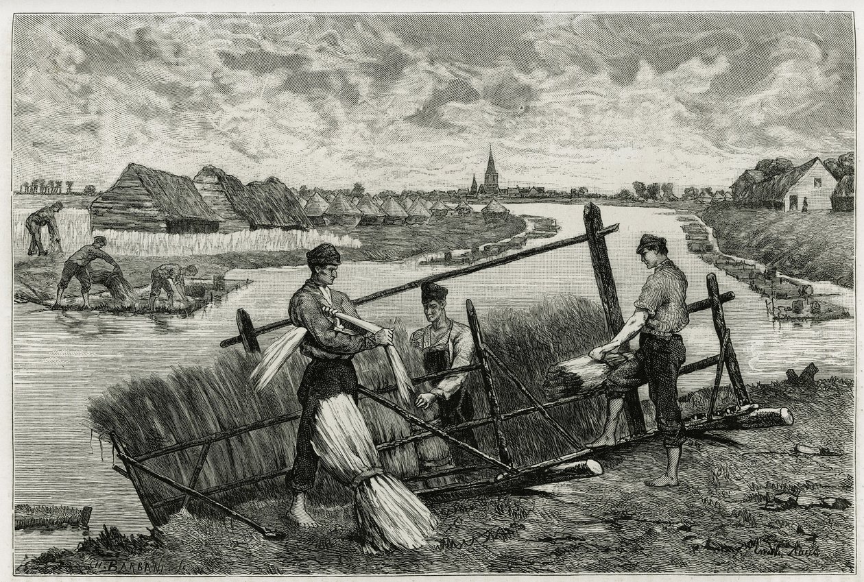 Rdza lnu (maceracja ułatwiająca oddzielenie kory od łodygi) w Lys (rzeka na północ od Francji i Belgii). Rycina Emile Claus, ilustrująca historię „La Belgique”, Camille Lemonnier (1844) -1913), pisarz i krytyk sztuki. autorstwa Emile Claus