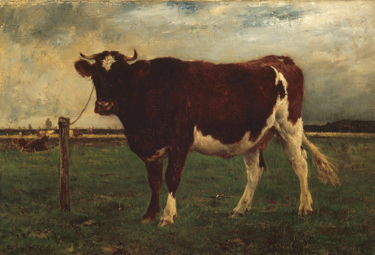 Badanie krowy autorstwa Emile van Marcke de Lummen