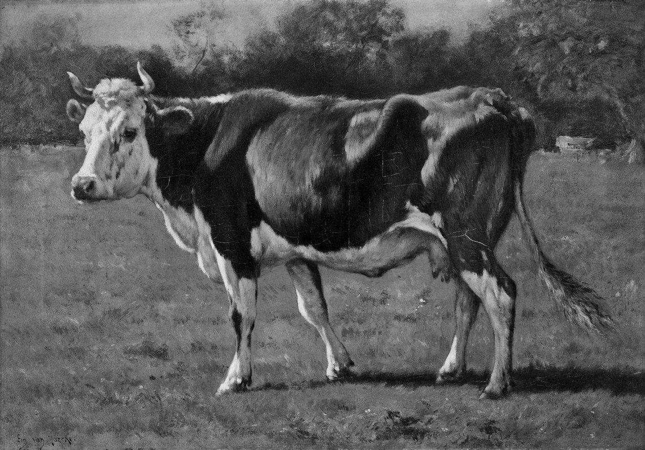 Badanie krowy autorstwa Emile van Marcke de Lummen