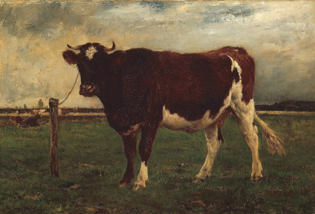 Studium krowy, 1870?90 autorstwa Emile van Marcke de Lummen