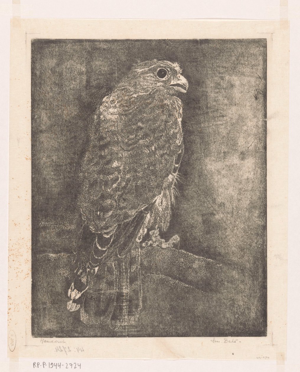 Sokół na gałęzi autorstwa Emilius Wilhelmus Dehé (signed by artist)