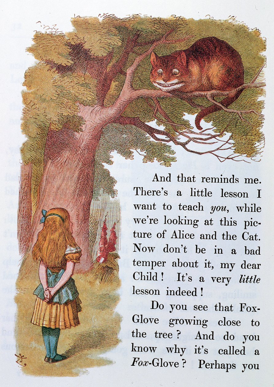 Alicja i Kot z Cheshire, ilustracja z "Alicji w Krainie Czarów", wydanej w Londynie w 1889 r. autorstwa Emily Gertrude Thomson