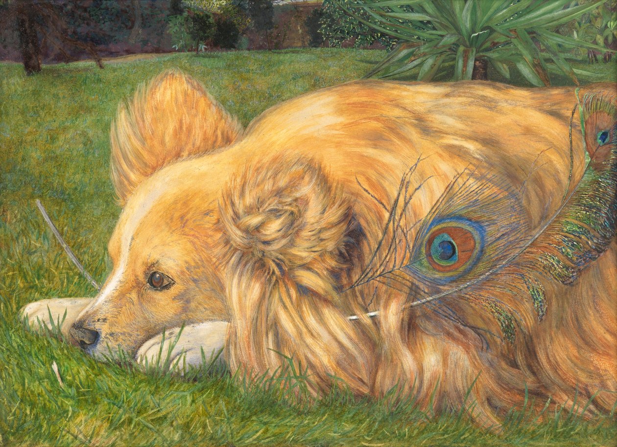 Zazdrosna Jessie, 1861 (wc nad śladami ołówka wzmocnione kolorem cielistym i wydrapane) autorstwa Emily and Hunt, William Holman Hunt
