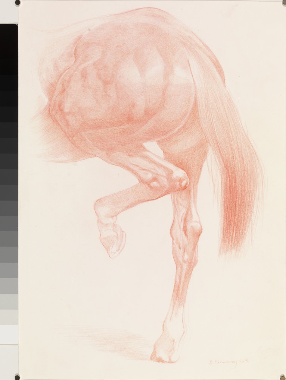 Kicking Off, Seria 4, 2012 (czerwona kreda na papierze) autorstwa Emma Kennaway