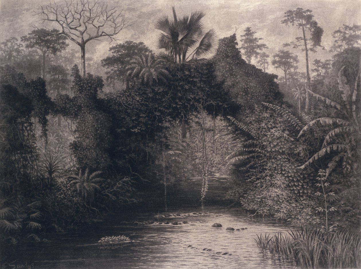 Widok na Zatokę Biafra, Afryka Zachodnia, 1877 (węgiel drzewny na papierze) autorstwa Emma Sandys