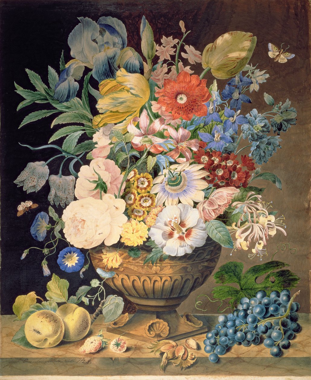 Kwiaty i owoce, 1828 (wc na papierze) autorstwa Emma Sillett
