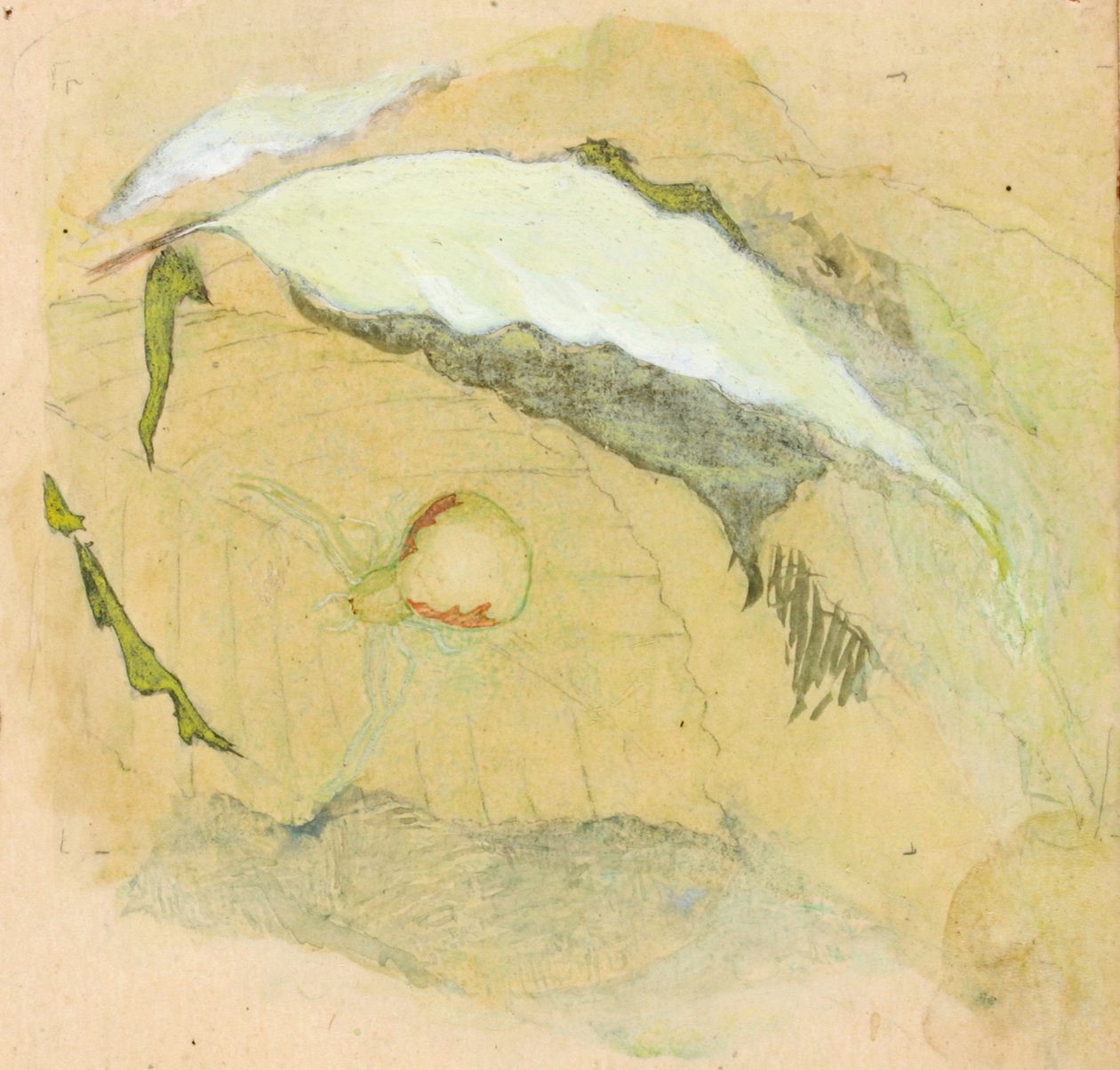Porcelanowo-Biały Pająk, koniec XIX-początek XX wieku. autorstwa Emma Beach Thayer