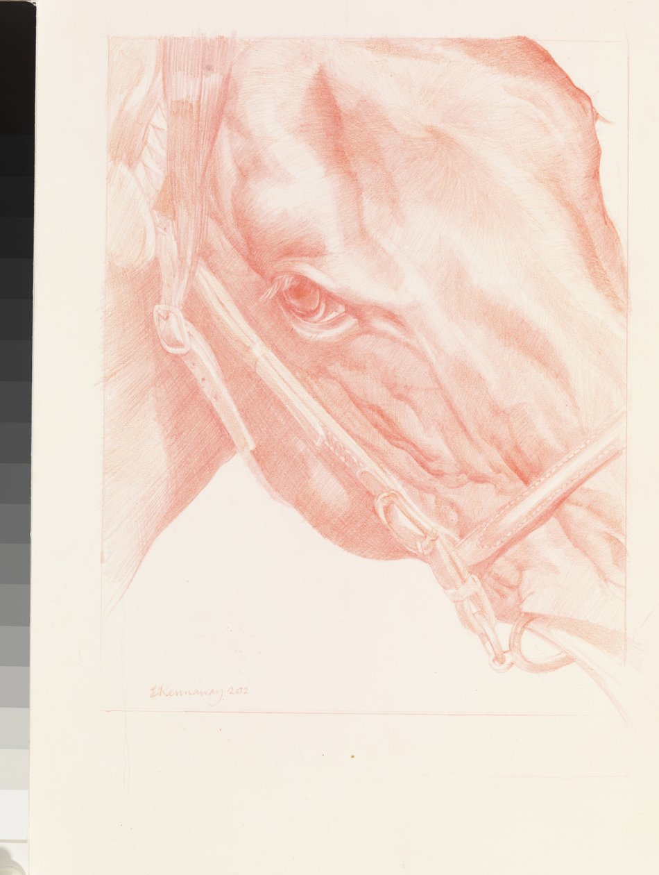 Portret głowy, 2012 (czerwona kreda na papierze) autorstwa Emma Kennaway