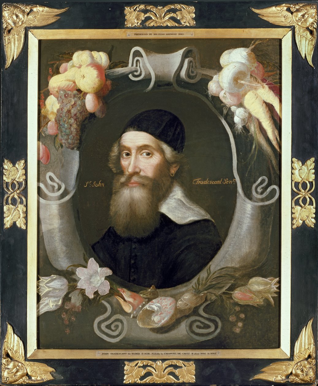Jan Tradescant Starszy, XVII wiek autorstwa Emmanuel de Critz