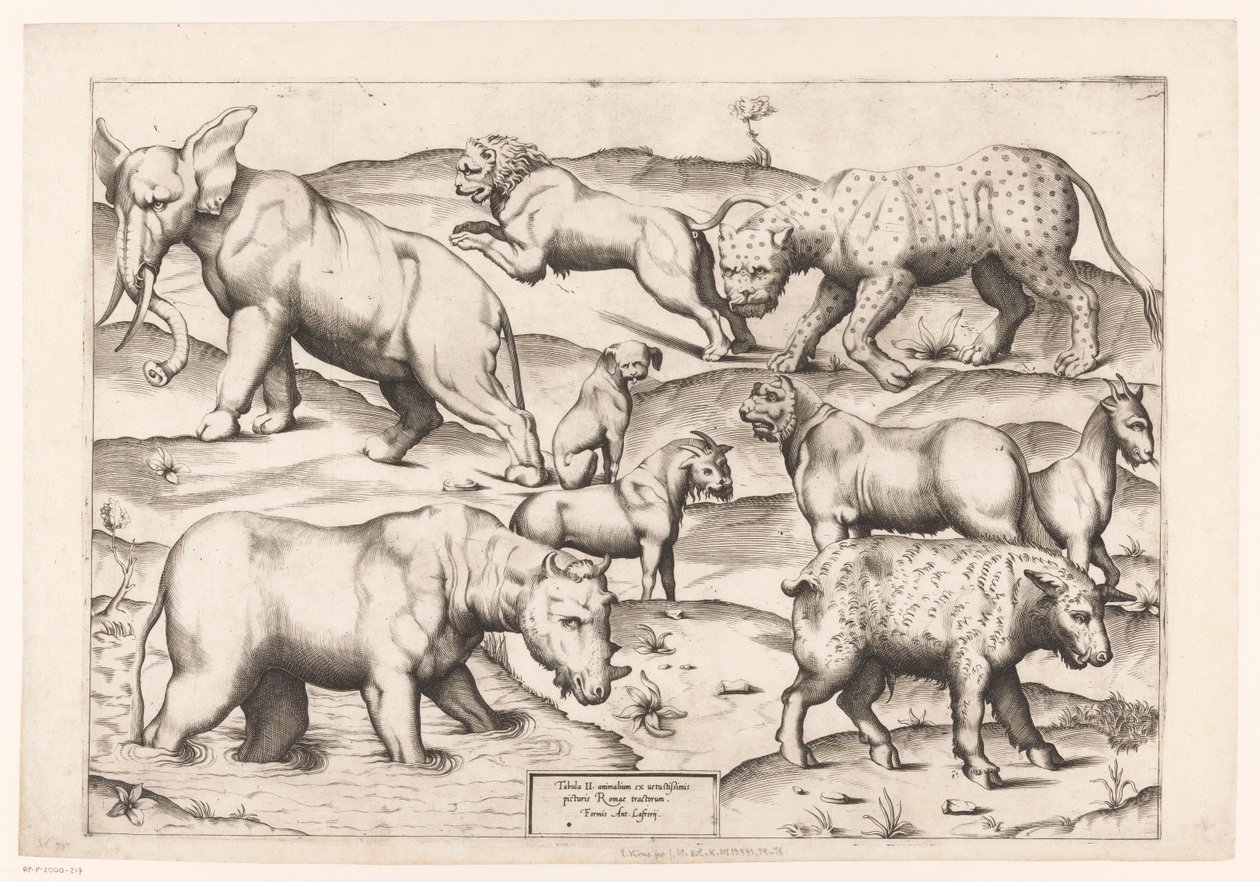 Dziewięć zwierząt Zwierzęta do antycznych malowideł ściennych (tytuł serii) Speculum Romanae Magnificentiae (tytuł serii) autorstwa Enea Vico (attributed to)